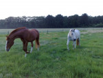 Max en Margriet